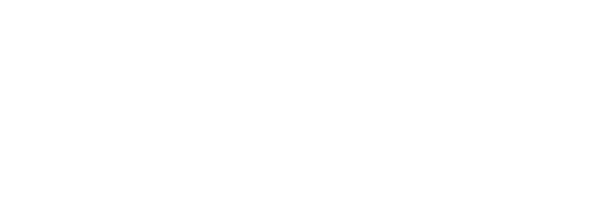 SZC E-Scooters